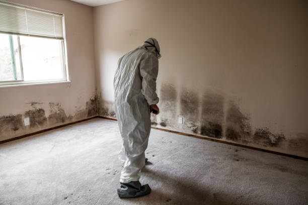 Best Industrial Mold Remediation in Wahneta, FL